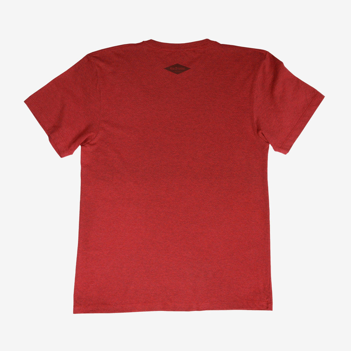 backyard-t-shirt-j8 Shirt_Mtn_Back.jpg
